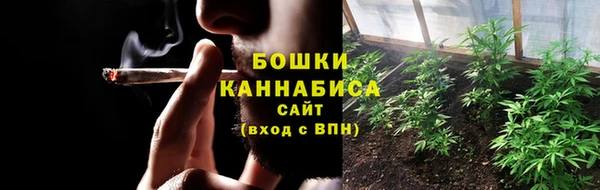 ПСИЛОЦИБИНОВЫЕ ГРИБЫ Арсеньев