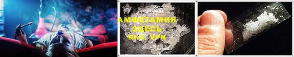 СК Алексин