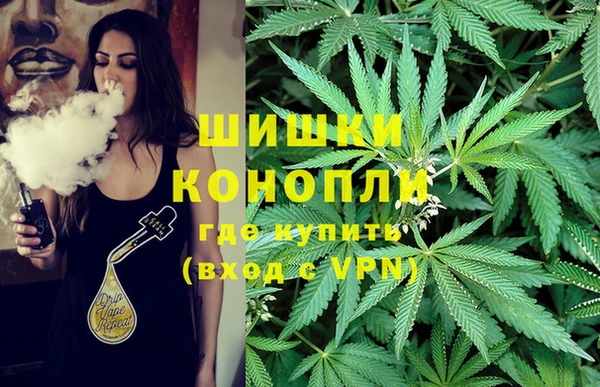 ПСИЛОЦИБИНОВЫЕ ГРИБЫ Арсеньев